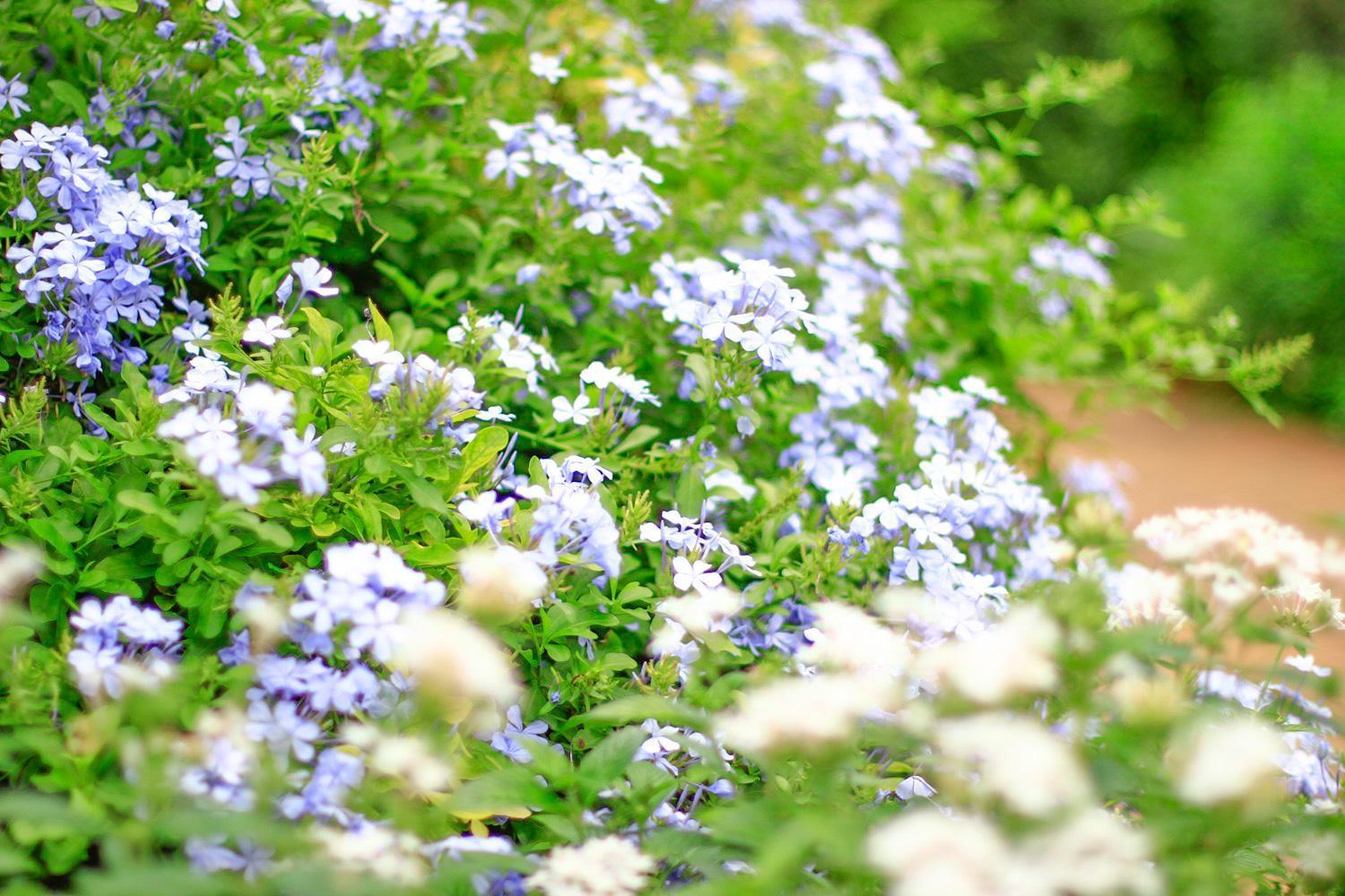 Pottery Flower B&B Jiji Zewnętrze zdjęcie